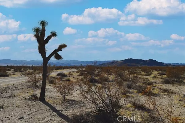 Joshua Tree, CA 92252,6130 La Brisa Drive