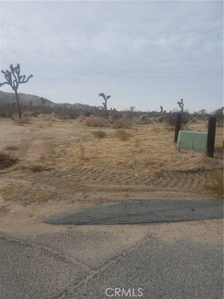 29 Palms, Joshua Tree, CA 92252