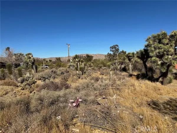 Yucca Valley, CA 92284,56434 Desert Gold Drive