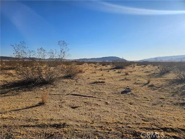 Joshua Tree, CA 92252,0 Sun Gold