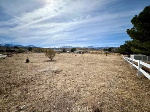 Llano, CA 93544,0 163 STE VIC Burning Tree Street
