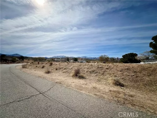 Llano, CA 93544,0 163 STE VIC Burning Tree Street