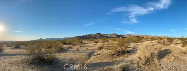 Joshua Tree, CA 92252,29 Palms Highway