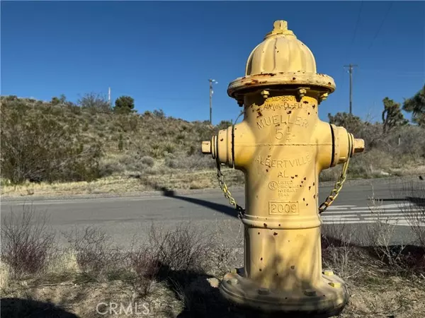 Yucca Valley, CA 92284,56448 Skyline Ranch Road