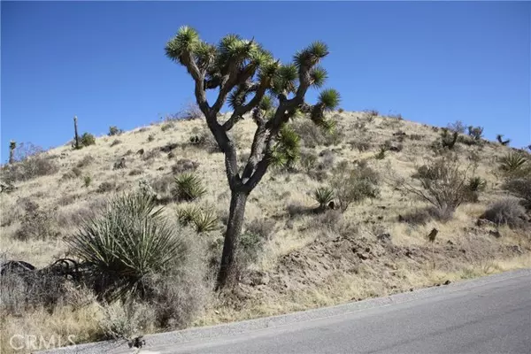 Yucca Valley, CA 92284,56448 Skyline Ranch Road