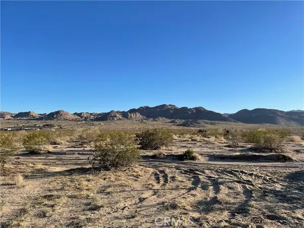 Joshua Tree, CA 92252,1234 Rice Avenue