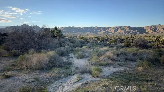 Yucca Valley, CA 92284,55370 Bunny Road