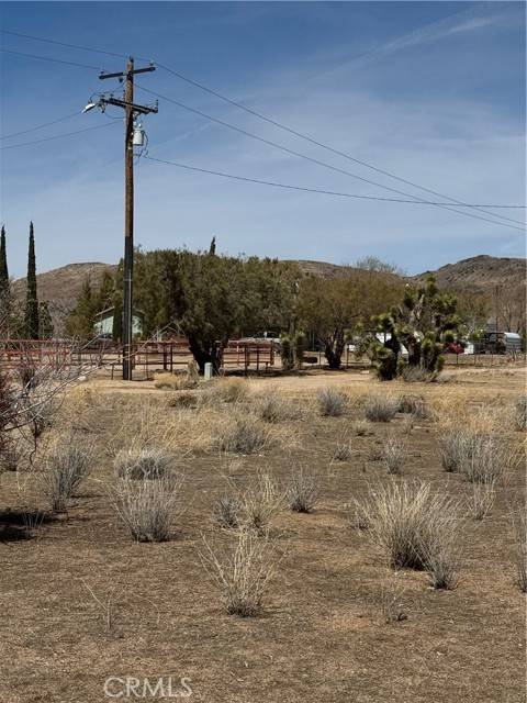 Pioneertown, CA 92268,0 Minna Gombell Lane