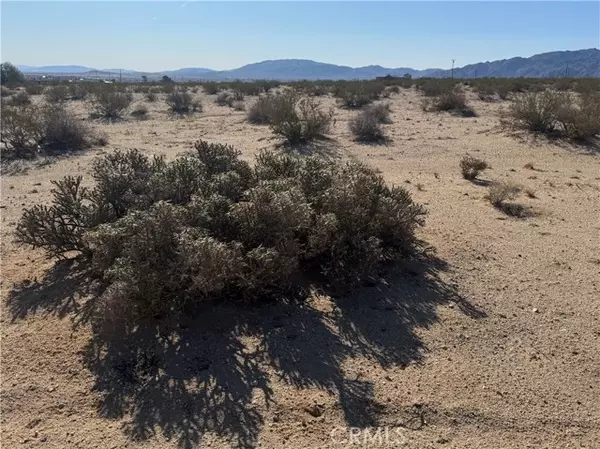 Twentynine Palms, CA 92277,3492 Meldora Avenue