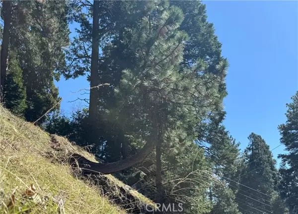 Twin Peaks, CA 92391,0 North Road