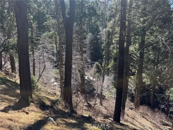 0 Sunderland Court, Lake Arrowhead, CA 92352