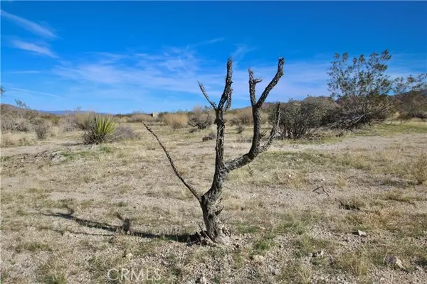 Joshua Tree, CA 92252,64755 Foothill Drive