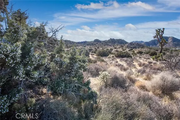 Yucca Valley, CA 92284,58947 Carmelita Circle