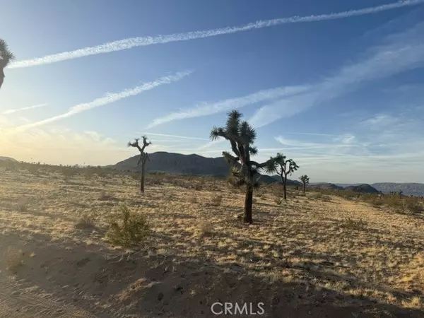 59860 Stearman Road, Landers, CA 92285