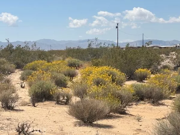 Joshua Tree, CA 92252,0 Daisy Lane