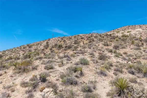 Yucca Valley, CA 92284,55652 Buena Vista Drive