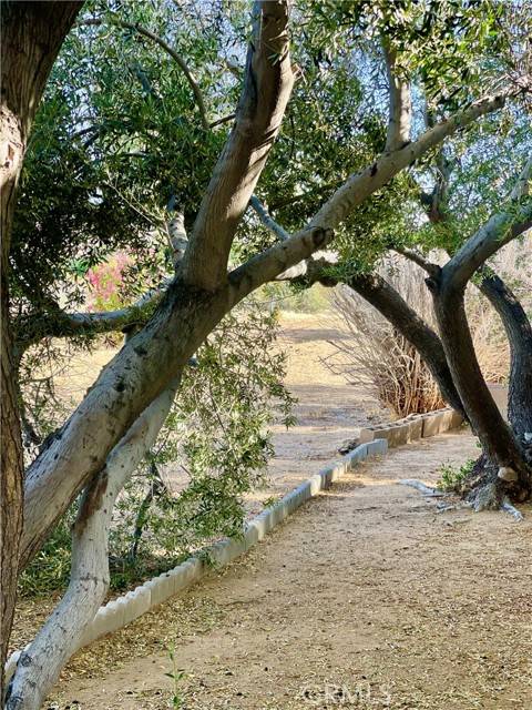 Yucca Valley, CA 92284,7501 Palm Avenue #103