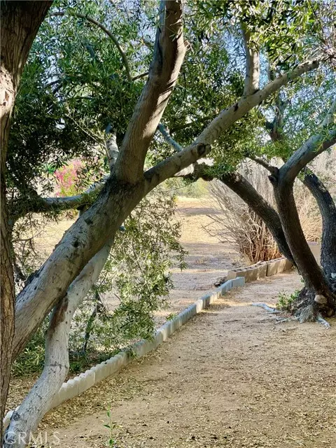 Yucca Valley, CA 92284,7501 Palm Avenue #103