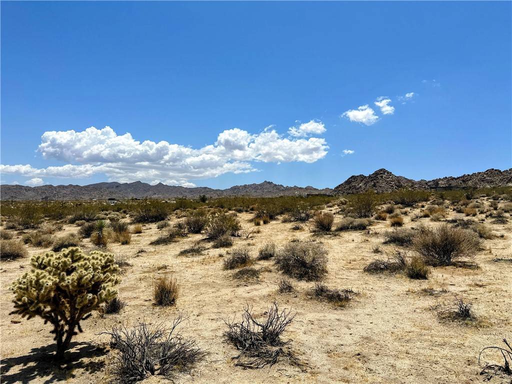 Joshua Tree, CA 92252,64100 Sullivan Road