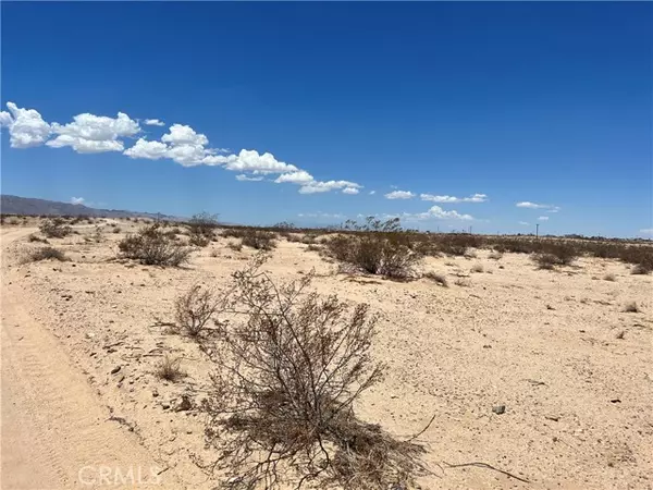 Twentynine Palms, CA 92277,0 Garden