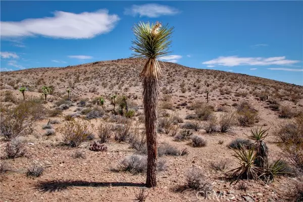 Joshua Tree, CA 92252,60024 La Brisa Drive