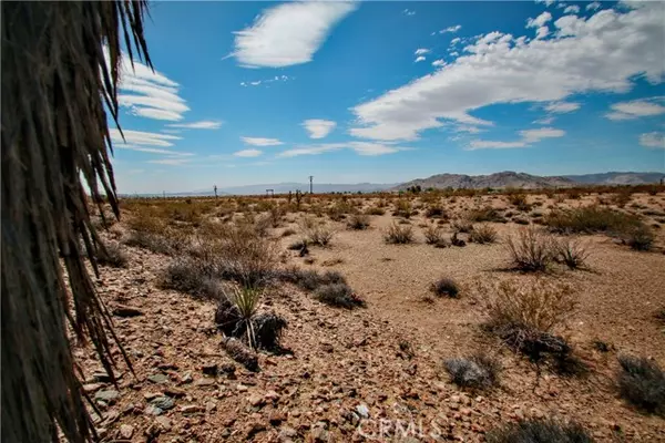 Joshua Tree, CA 92252,60024 La Brisa Drive