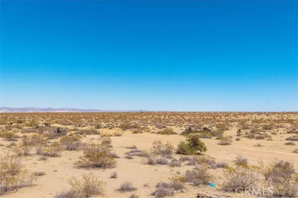 Joshua Tree, CA 92252,411 Willie Way