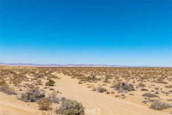 Joshua Tree, CA 92252,411 Willie Way