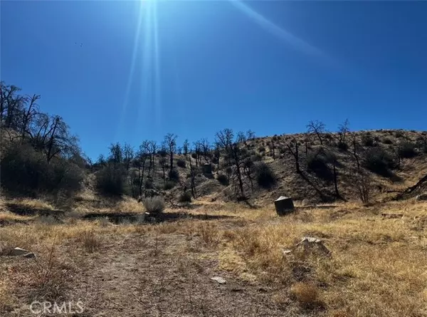 Llano, CA 93544,195 Ste/2 Min Bg