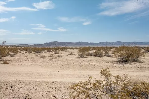 Joshua Tree, CA 92252,2549 Delaware Avenue