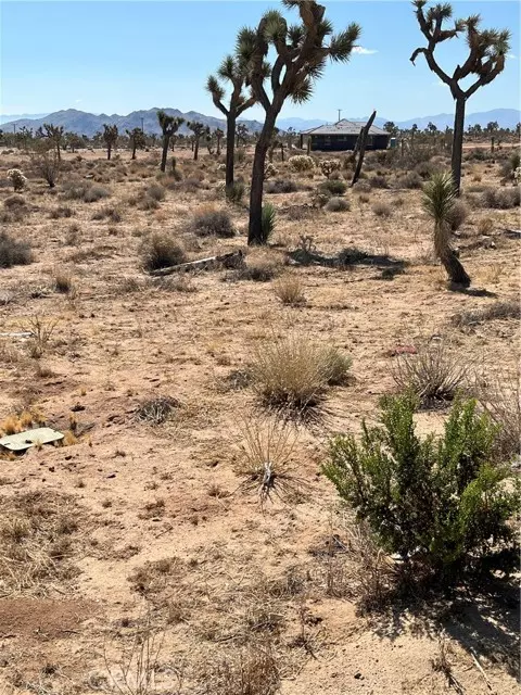 Yucca Valley, CA 92284,2801 Avalon Avenue