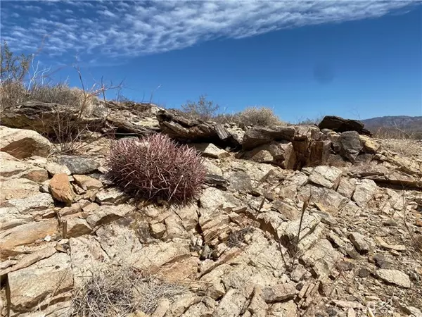 Joshua Tree, CA 92252,3025 Flamingo Avenue