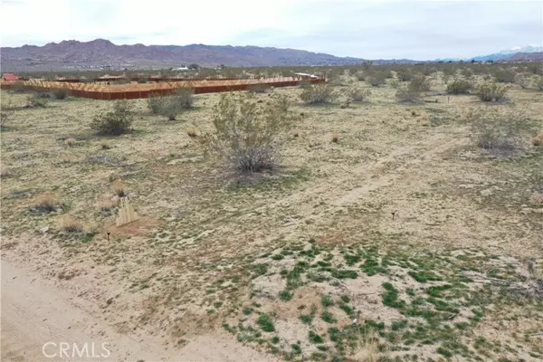 Joshua Tree, CA 92252,12345 Sunbeam Avenue