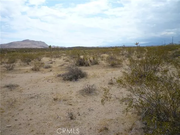 2345 Sunny Sands Drive, Joshua Tree, CA 92252