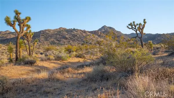 Joshua Tree, CA 92252,8825 Lilley Road