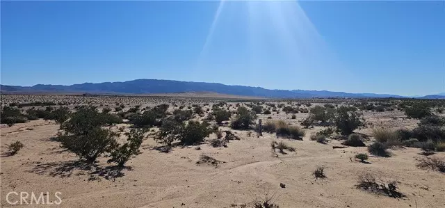 Twentynine Palms, CA 92277,0 Mesa