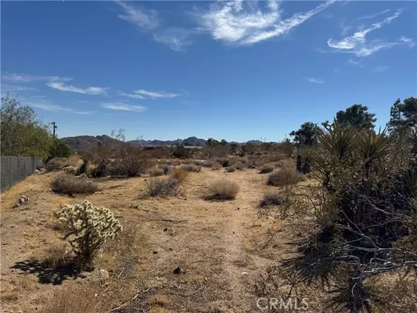 7217 Sunny Vista Road, Joshua Tree, CA 92252