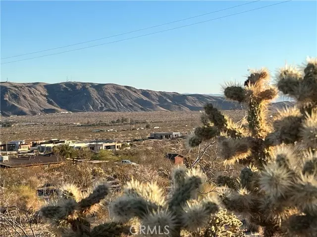 Joshua Tree, CA 92252,7084 Mount Shasta Avenue