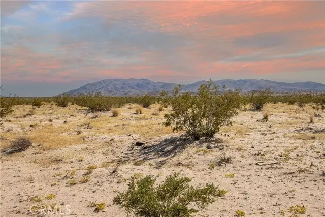 Twentynine Palms, CA 92277,3333 El Passeo