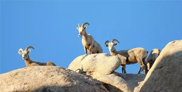 66075 Foothill, Joshua Tree, CA 92252