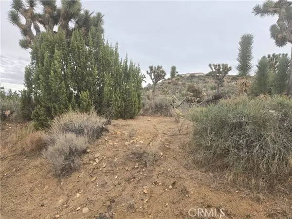 Yucca Valley, CA 92284,54763 Twentynine Palms