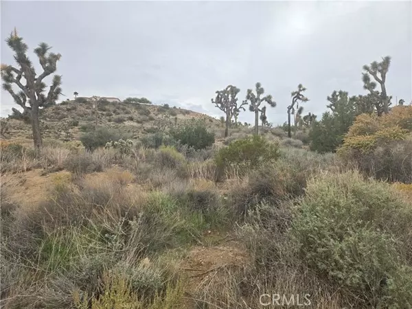 Yucca Valley, CA 92284,54777 Twentynine Palms