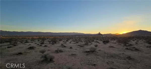 Joshua Tree, CA 92252,2 Belmont Street