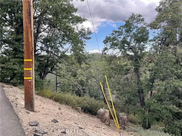 Green Valley Lake, CA 92341,33462 Angeles Drive