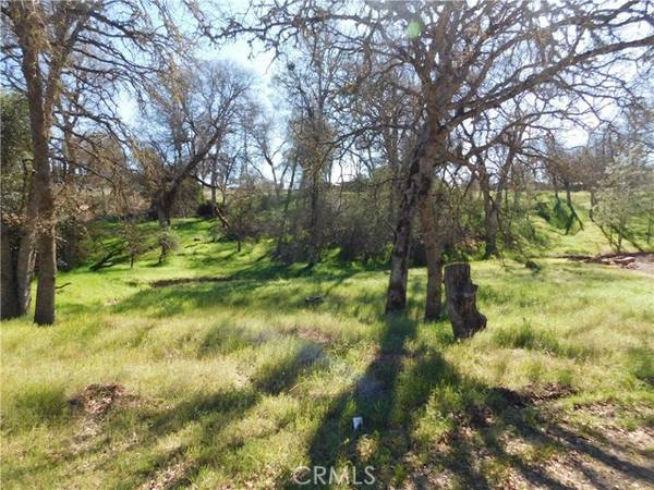 16299 36th Avenue, Clearlake, CA 95422