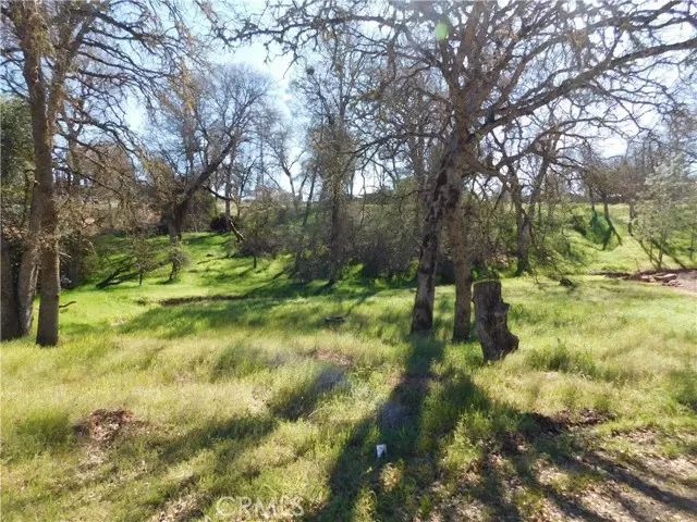 Clearlake, CA 95422,16299 36th Avenue