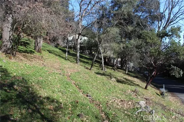 Lower Lake, CA 95457,6115 Sunrise Drive