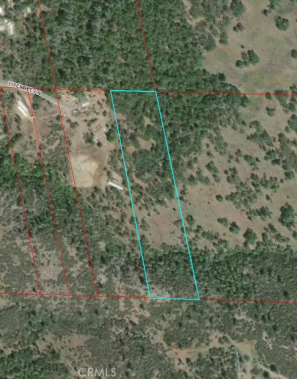 21925 Lisenbee Lane, Middletown, CA 95461