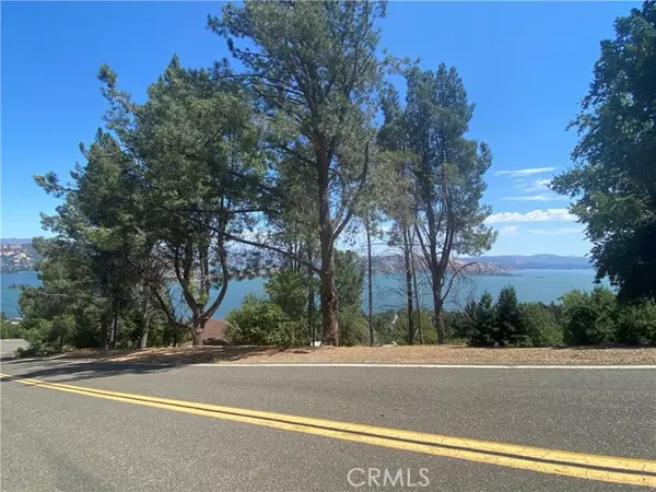 Kelseyville, CA 95451,3461 Pine Terrace Drive