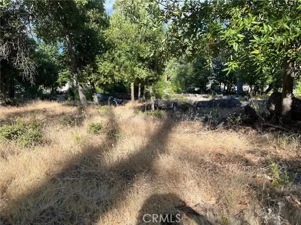 Kelseyville, CA 95451,3607 Pine Terrace Drive